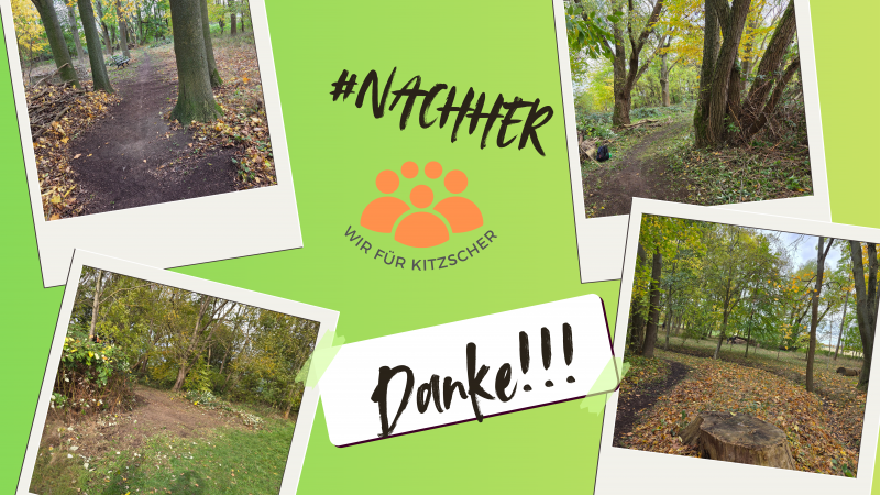 🌳 Aufräumaktion im Park – Gemeinsam für ein sauberes Stück Heimat