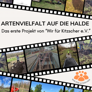 Unser erstes Projekt: „Artenvielfalt auf die Halde“ – Eine Zusammenfassung