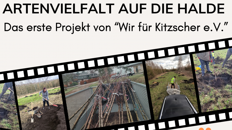 Unser erstes Projekt: „Artenvielfalt auf die Halde“ – Eine Zusammenfassung